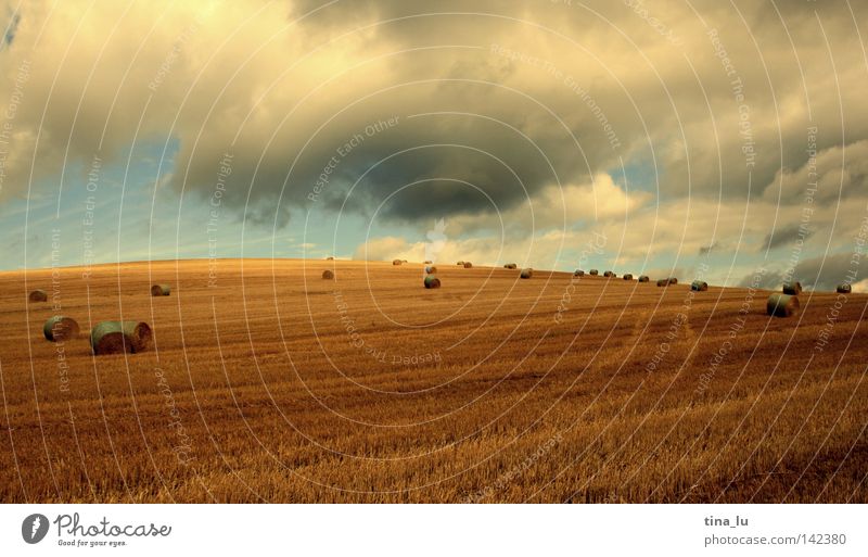 Cornfield II Grain Ear of corn Back-light Sun Sky Clouds Summer Light Physics Warmth Blur Straw Bale of straw Hay Hay bale Harvest Gold