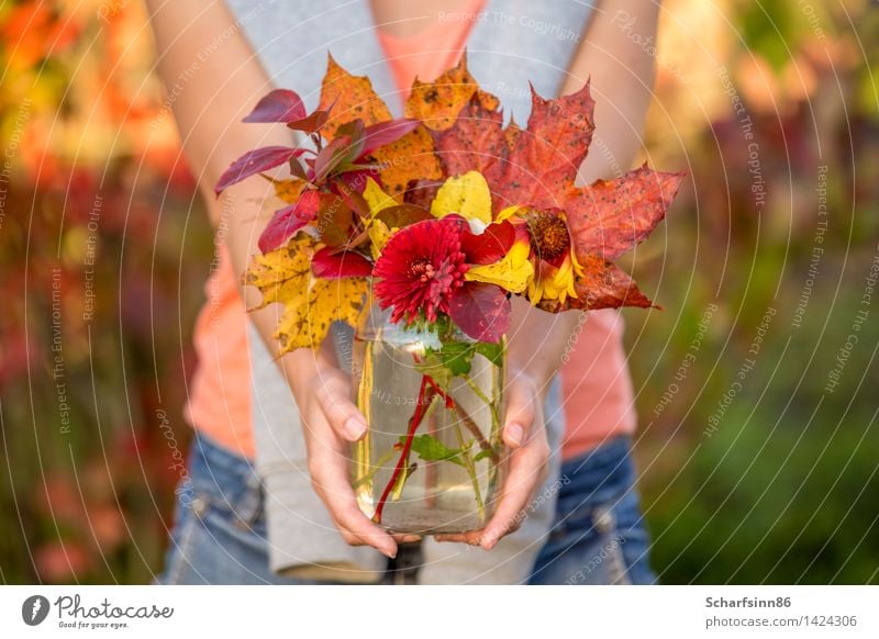 Girl with autumn bouquet. Lifestyle Relaxation Leisure and hobbies Tourism Freedom Garden Feminine Body Hand Blossoming Discover To hold on Walking Happy Bright