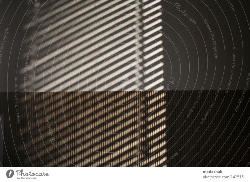 Hearts & checks Shadow Line Graphic Parallel Wall (building) Summer Gloomy Venetian blinds Window Limited Chic Peace Vantage point Structures and shapes pattern