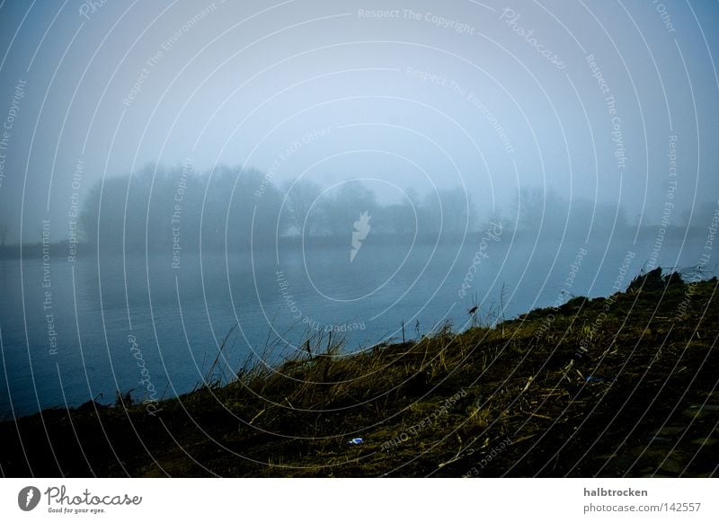 Hopeless cases II Landscape Ocean Winter River Brook Water Landschaft Fluss Ufer Looking Shore Bäume Nebel Blau