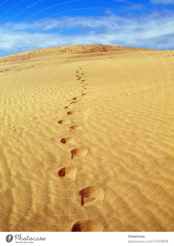 Sand dune near Maspalomas, Gran Canaria Landscape Clouds Climate change Beautiful weather Warmth Desert Footprint Hiking Infinity Hot Dry Blue Brown Yellow Gold