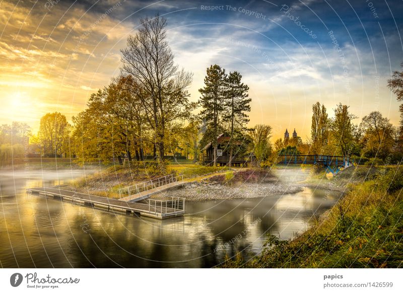 Autumn at the Adolf-Mittag-See City trip Island Aquatics Nature Landscape Water Sky Clouds Sunlight Beautiful weather Tree Garden Park Meadow Lakeside Pond