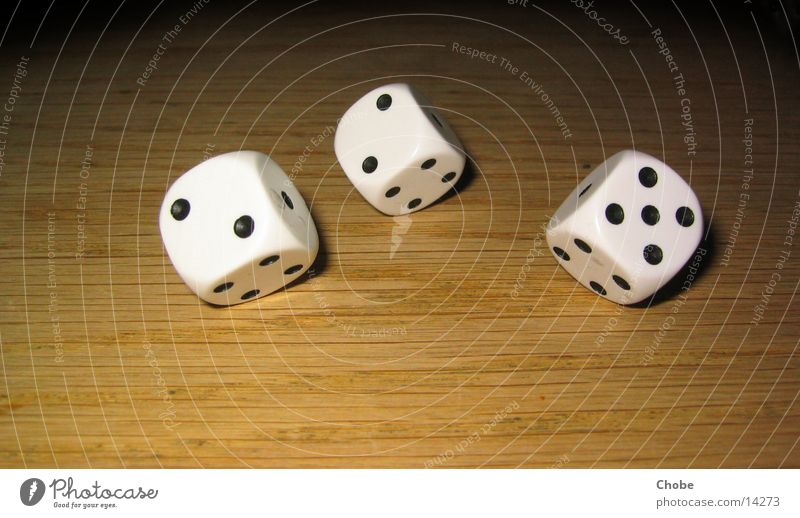 magic dice 6 Wood Leisure and hobbies W6 Dice