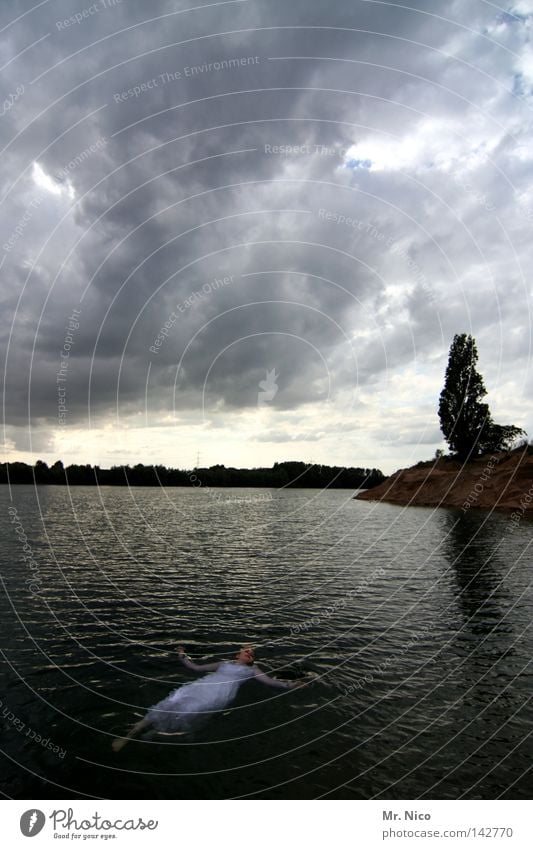 dying swan Dark Light Clouds Bank of clouds Storm clouds Lake Waves Woman Dress Wedding dress Float in the water Weather Gale Gray Tree White Innocent