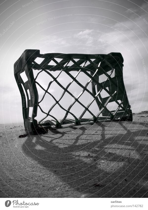 beach beauty Beach Grain of sand Grainy Flotsam and jetsam Environmental pollution Crate Back-light Dazzle Sylt Coast Black & white photo Obscure Sand Edgewise