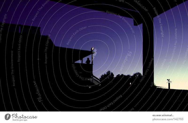 at the end of the day. Dark Twilight Weathercock Wood Wood flour House (Residential Structure) Safety (feeling of) Roof Sleep Hostel Night New Zealand