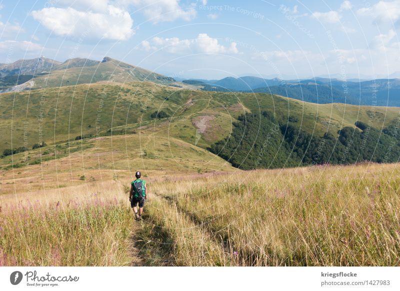 The Hiker Healthy Well-being Calm Vacation & Travel Adventure Far-off places Freedom Mountain Hiking Nature Animal Earth Beautiful weather Grass Meadow Field