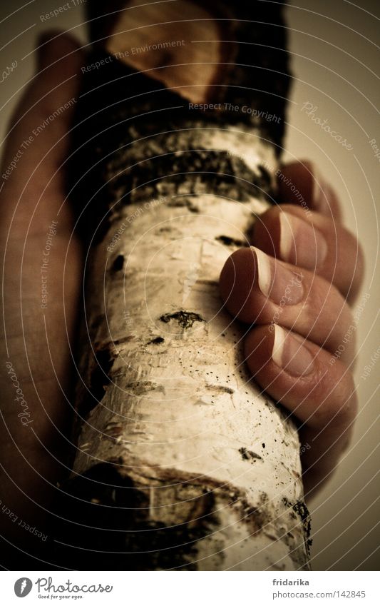 pedigree Life Hand Fingers Fingernail Thumb Nature Plant Wood To hold on Grasp Tree trunk Firewood Tree bark Interior shot Close-up Detail Woman Adults