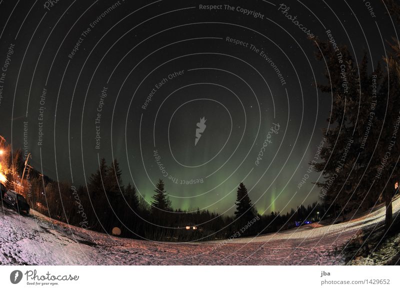 Northern lights in Homer Calm Far-off places Snow Nature Elements Air Sky Night sky Stars Moon Autumn Beautiful weather Aurora Borealis Alaska USA Illuminate