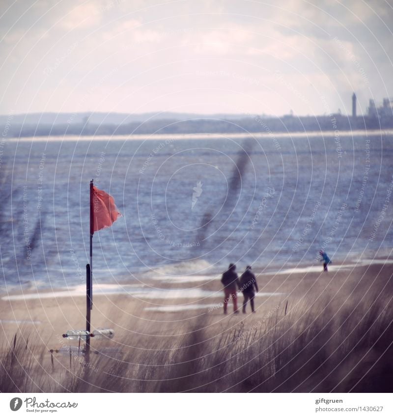 beach walk Beach To go for a walk Ocean dunes Flag Wind Sand Sandy beach Water Germany Baltic Sea