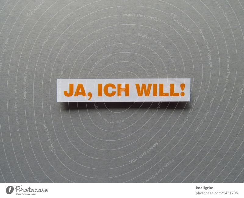 Yes, I do! Characters Signs and labeling Communicate Sharp-edged Yellow Gray White Emotions Joy Happy Happiness Contentment Joie de vivre (Vitality)