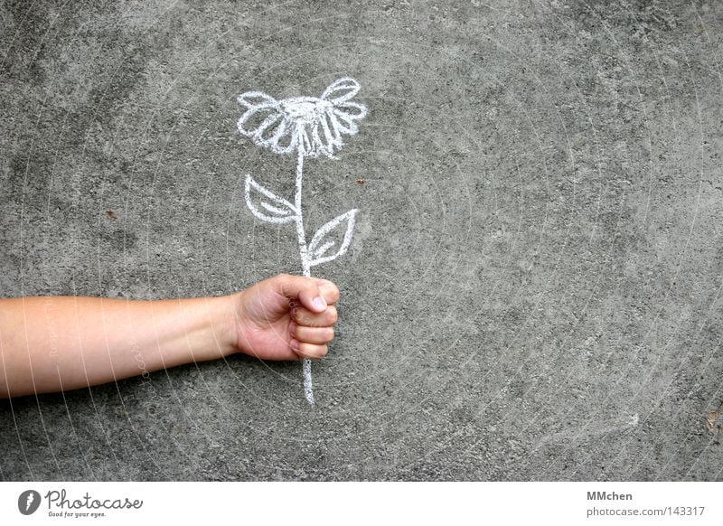 mauerBLÜMCHEN Flower Chalk Wall (building) Concrete Earmarked Painting and drawing (object) Arm Grasp To hold on Hand Fingers White Gray Congratulations Desire