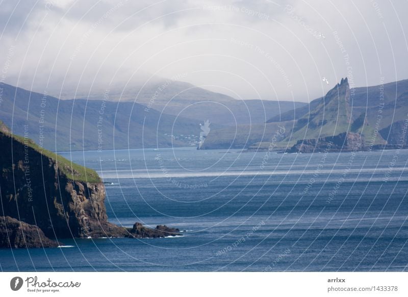 Landscape on the Faroe Islands Beautiful Ocean Environment Nature Grass Rock Coast Føroyar Stone Blue stunning water animals Characteristic scarce Bleak scanty