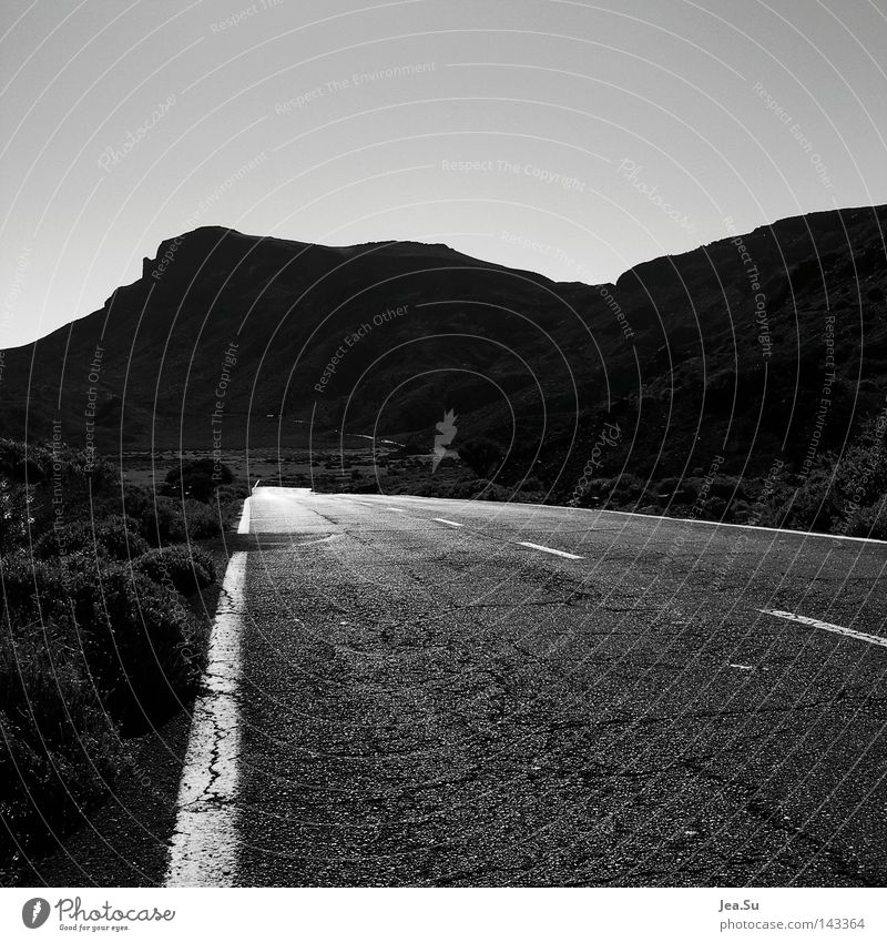 a´way Street Loneliness Tenerife Flashy Far-off places Traffic infrastructure Black & white photo Summer