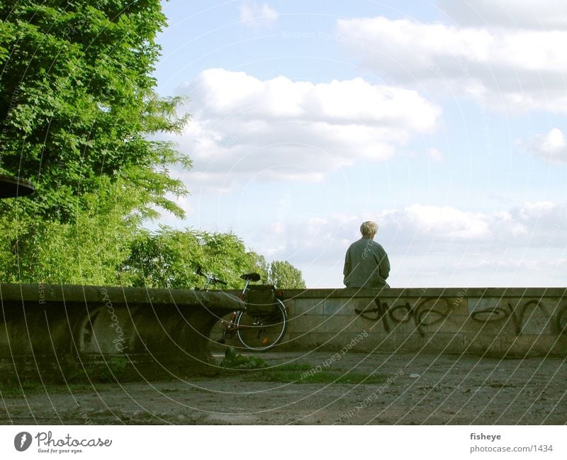 On the wall Man Wall (barrier) Well Tree Bicycle Human being Sit Sky Loneliness Individual 1 Only one man Neutral Background Bright background Break Relaxation