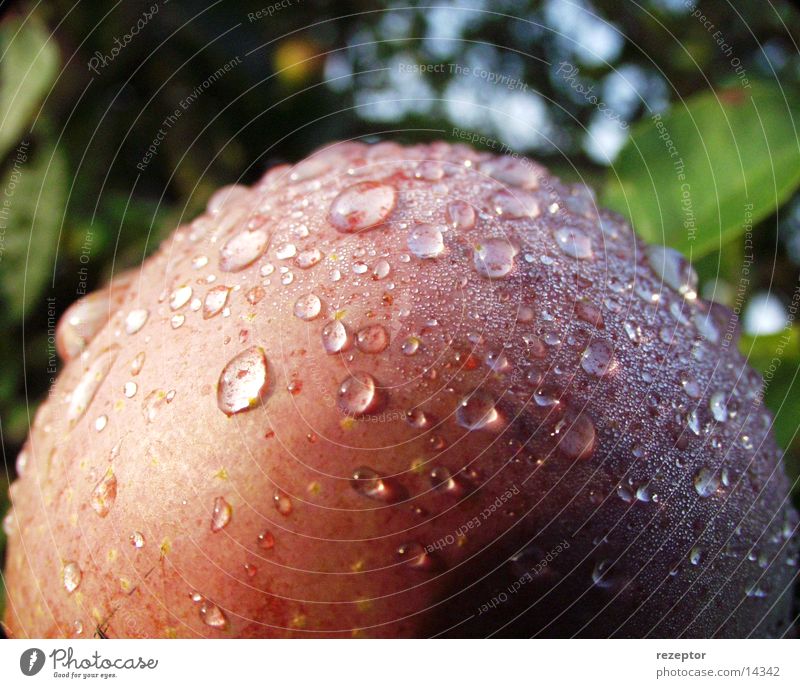 big apple Fresh Nature Apple Drops of water