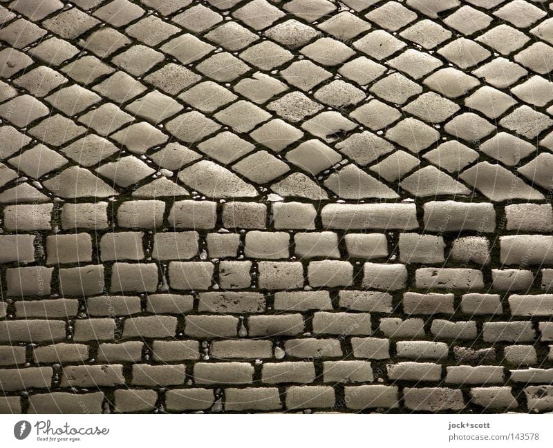 Head stone pavement Traffic infrastructure Street Many Part Deformation Seam Cobblestones Paving stone Undulating Three-dimensional Traffic lane Detail Abstract