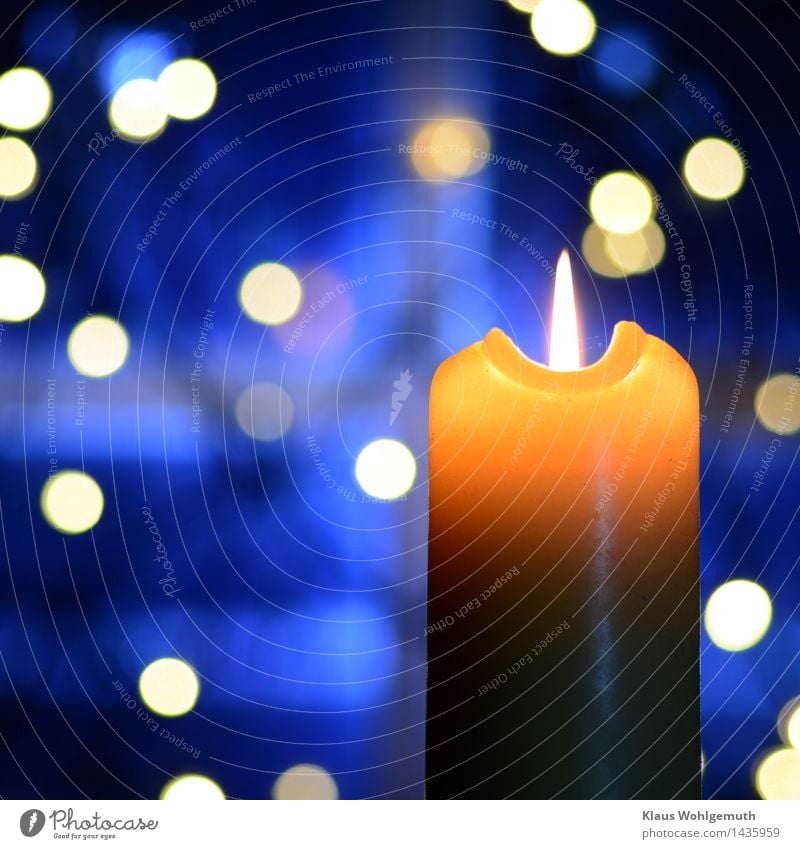 winter evening Harmonious Relaxation Meditation Christmas & Advent Illuminate Friendliness Blue Yellow Romance Candle Flame Pensive Interior shot Close-up