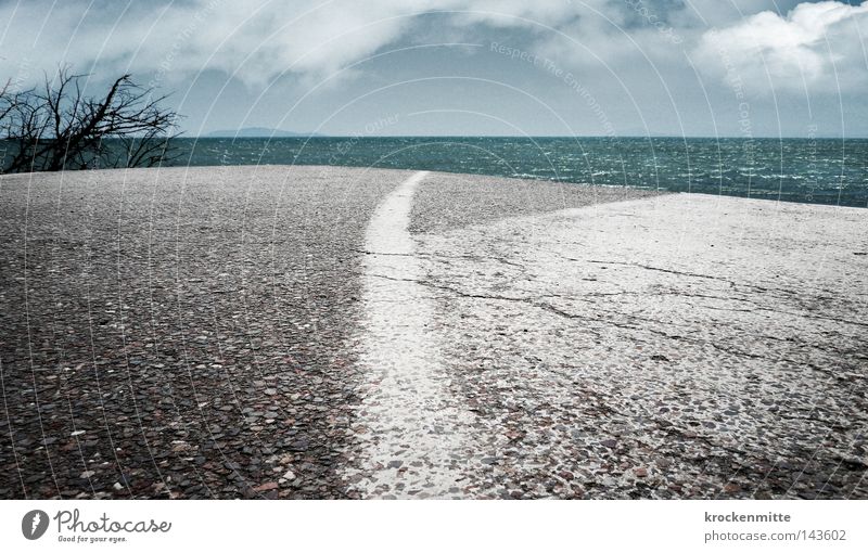 Road to nowhere Street Line White Asphalt Bushes Clouds Sky Ocean Water End Future Center line Transport Plant Completed Loneliness Far-off places Driving