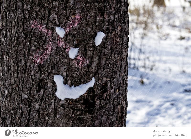 a cool smile Face Eyes Nose Mouth Environment Nature Landscape Winter Ice Frost Snow Snowfall Plant Tree Park Wood Looking Friendliness Happiness Cold Brown