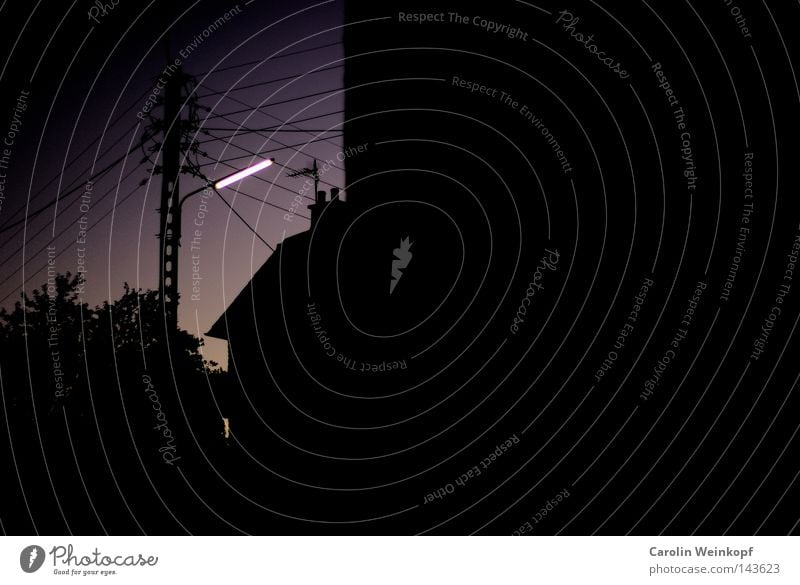 Neon. Electricity Electricity pylon Dark Tree House (Residential Structure) Village Night Evening Town Twilight Black Traffic infrastructure Cable Dusk Sky