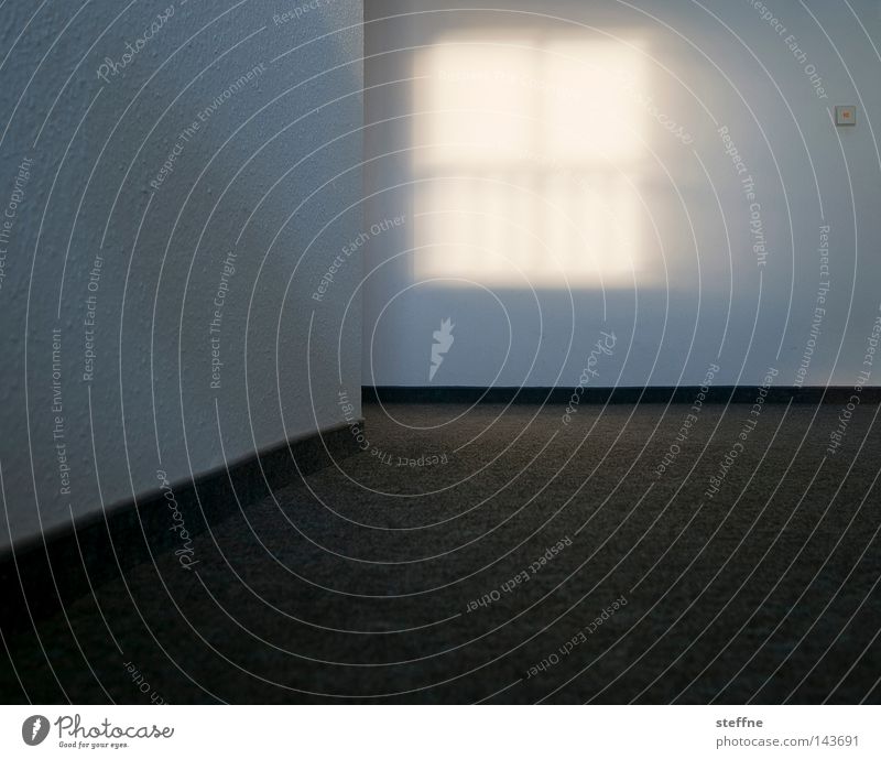 Window Bustard House (Residential Structure) Hallway Corridor Wall (building) Light Sun Shadow Detail