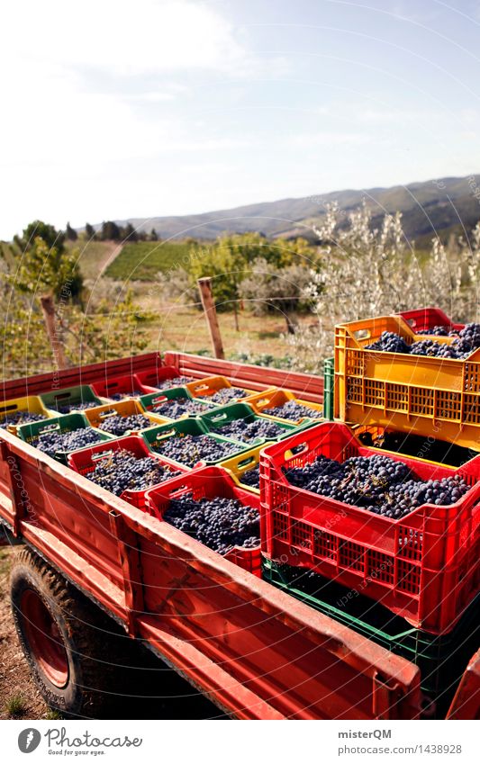 Sangiovese III Art Work of art Esthetic Wine Vine Vineyard Wine growing Bunch of grapes Grape harvest Winery Crate Many Harvest Packaged Landscape Italy Tuscany