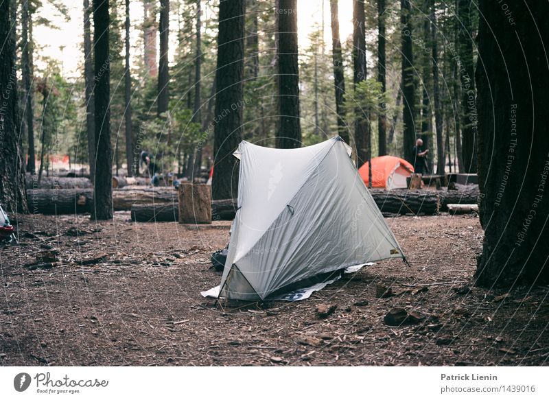 Yosemite Valley Camping Lifestyle Wellness Harmonious Well-being Contentment Senses Relaxation Calm Vacation & Travel Tourism Trip Adventure Far-off places