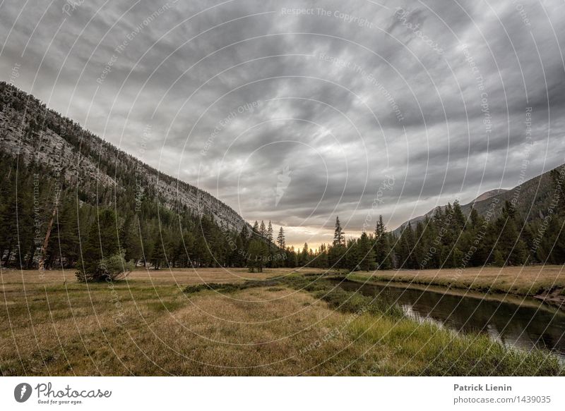 Lyell Canyon Harmonious Well-being Contentment Senses Relaxation Vacation & Travel Environment Nature Elements Earth Sky Sky only Cloudless sky Clouds