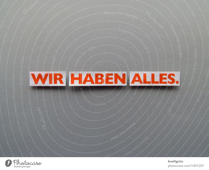 WE HAVE EVERYTHING. Characters Signs and labeling Communicate Sharp-edged Rich Gray Orange White Emotions Joy Happiness Contentment Joie de vivre (Vitality)