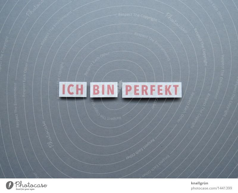 I AM PERFECT Characters Signs and labeling Communicate Sharp-edged Emotions Moody Enthusiasm Self-confident Arrogant High spirits Perfect False Colour photo