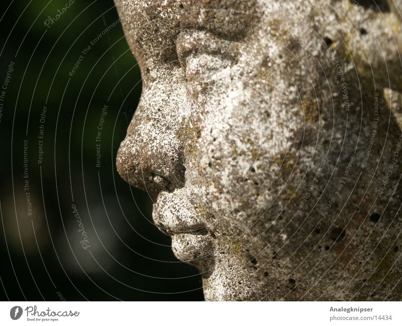 garden piper Statue Well Shallow depth of field Garden Macro (Extreme close-up) Stone