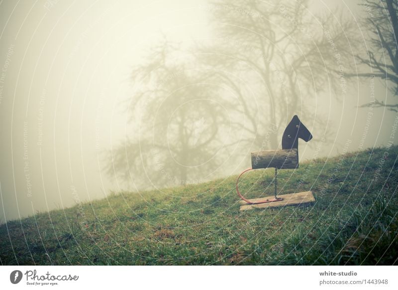 gloomy country Nature Threat Nightmare Loneliness Idyll Calm Fog Shroud of fog Misty atmosphere Horse Playground Hopelessness Sadness Without prospects Poverty