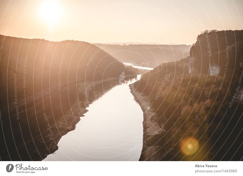 Praying for better days II Nature Landscape Water Sky Cloudless sky Sunrise Sunset Beautiful weather Tree Rock Mountain Saxon Switzerland River bank Elbe