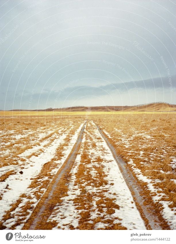 Doc #wet road Nature Landscape Water Cloudless sky Spring Winter Climate Weather Storm Snow Grass Field Hill Crossroads Dark Authentic Exotic Adventure