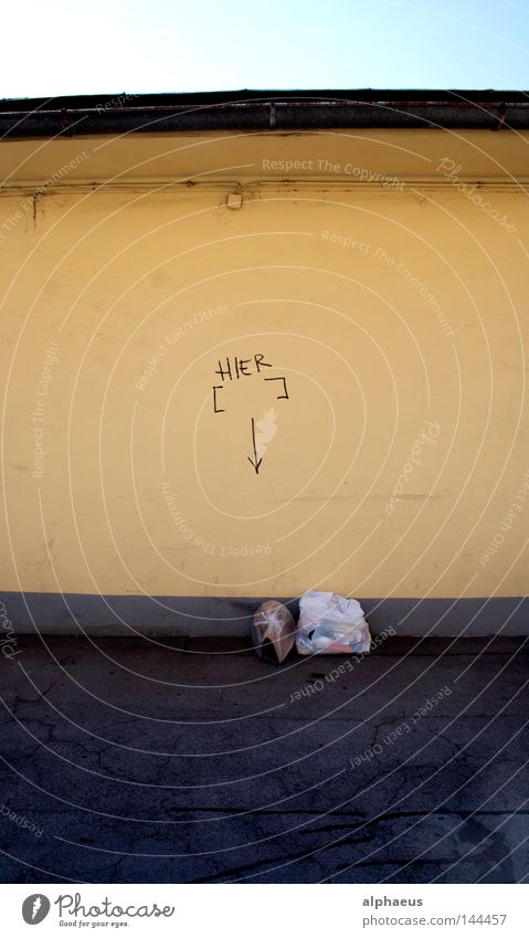 Insert life here Wall (building) Yellow Graffiti Inscription Roof Klagenfurt am Wörthersee Trash Vandalism Spray Empty Mural painting sky Trashy garbage vandal