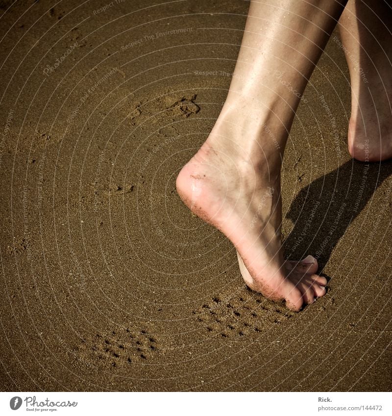 Best grip in any weather. Colour photo Exterior shot Close-up Copy Space left Copy Space bottom Day Evening Shadow Silhouette Profile Elegant Beautiful