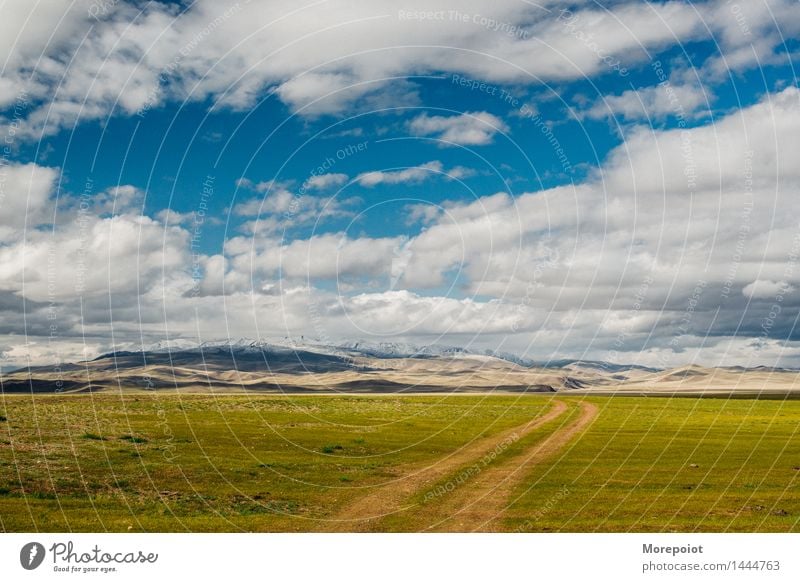 the country road to the hills Field Hill hillside Hilly landscape nomad altay Landscape Nature Green Grass Summer countryside Blue Blue sky Clouds mountains