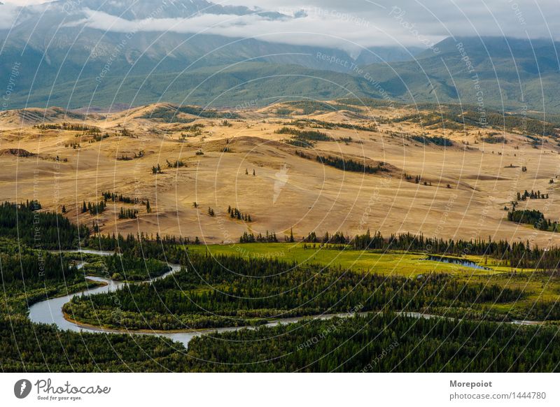 Altay Nature Landscape Earth Horizon Summer Autumn Weather Beautiful weather Tree Grass Wild plant Field Forest Hill Rock Mountain Peak Coast River Fantastic