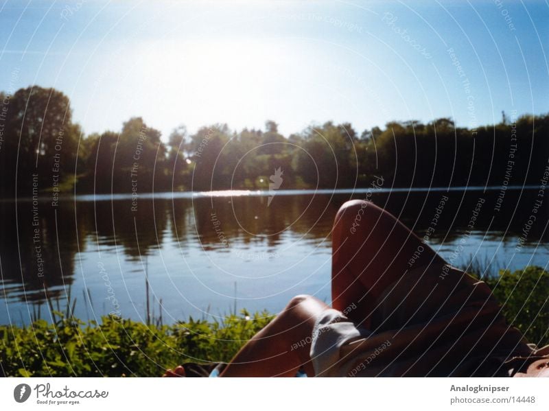 quarry pond Lake Back-light Woman Knee Summer Leisure and hobbies Vacation & Travel To enjoy Lake Baggersee Tree Grass Water Sun Legs Nature