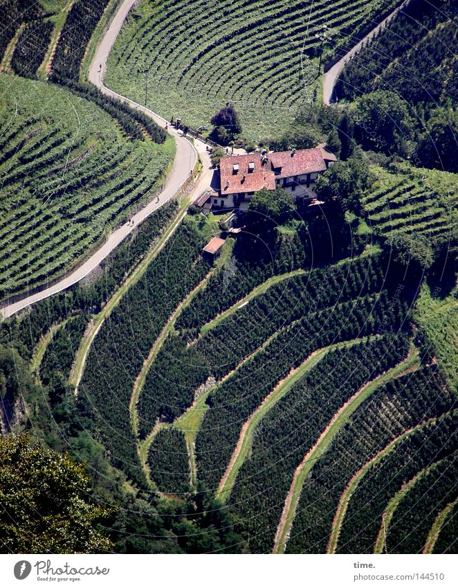 Ain't No Mountain High Enough House (Residential Structure) Landscape Beautiful weather Field Traffic infrastructure Street Winding road Italy Curve Diagonal