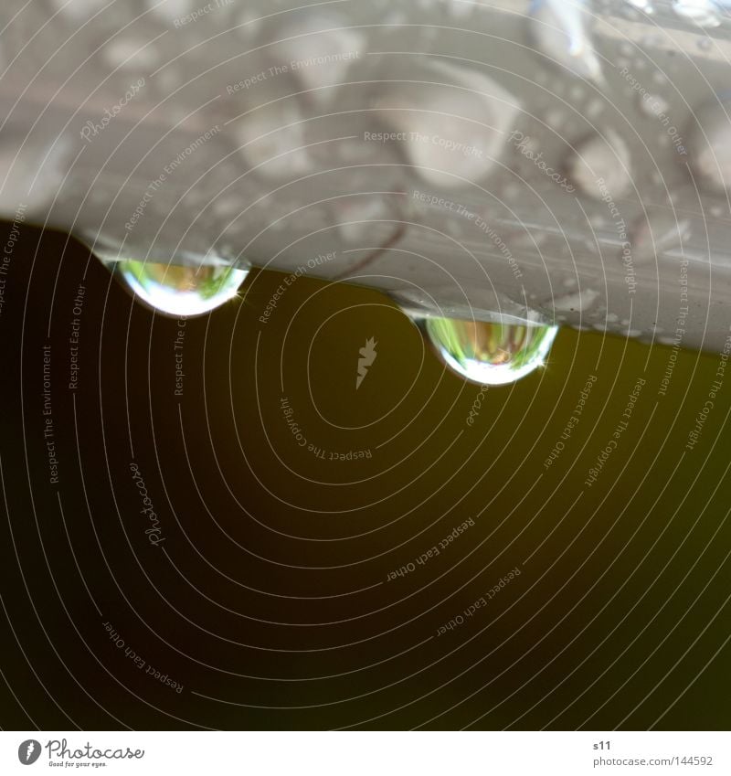 after training Drops of water Dripping Wet Rain Gray Green Brown Macro (Extreme close-up) Close-up Water droplet Weather Clarity Sarah Kasper s11 glassy