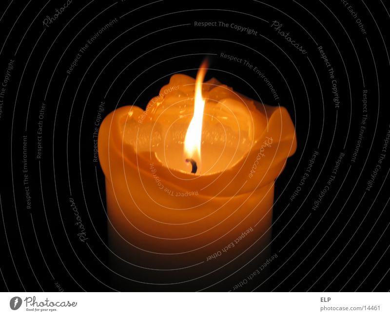 candle Candle Physics Light Night Macro (Extreme close-up) Close-up Warmth