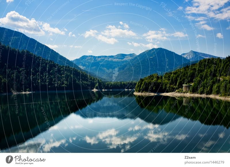 silvenstein Environment Nature Landscape Water Sky Clouds Summer Beautiful weather Tree Bushes Forest Alps Mountain Lakeside Fresh Sustainability Natural Blue