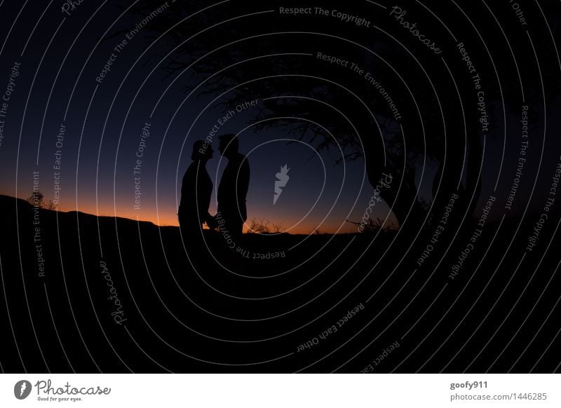 AMORE Nature Landscape Sky Night sky Sunrise Sunset Spring Beautiful weather Tree Desert Touch To enjoy Kissing Vacation & Travel Stand Illuminate Embrace