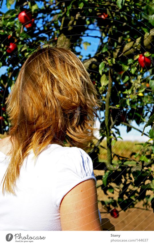 Eva and the apple tree Blonde White Apple Red Green Field Tree Apple tree Search Beautiful weather In transit Grief Hope Tree of knowledge Colour Sadness eva