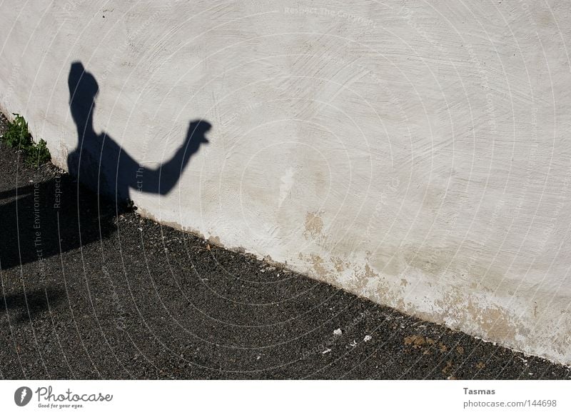 The Wrong Snake False Shadow Silhouette Wall (building) Creepy Shadow play Guy Fear Panic Dangerous Projection