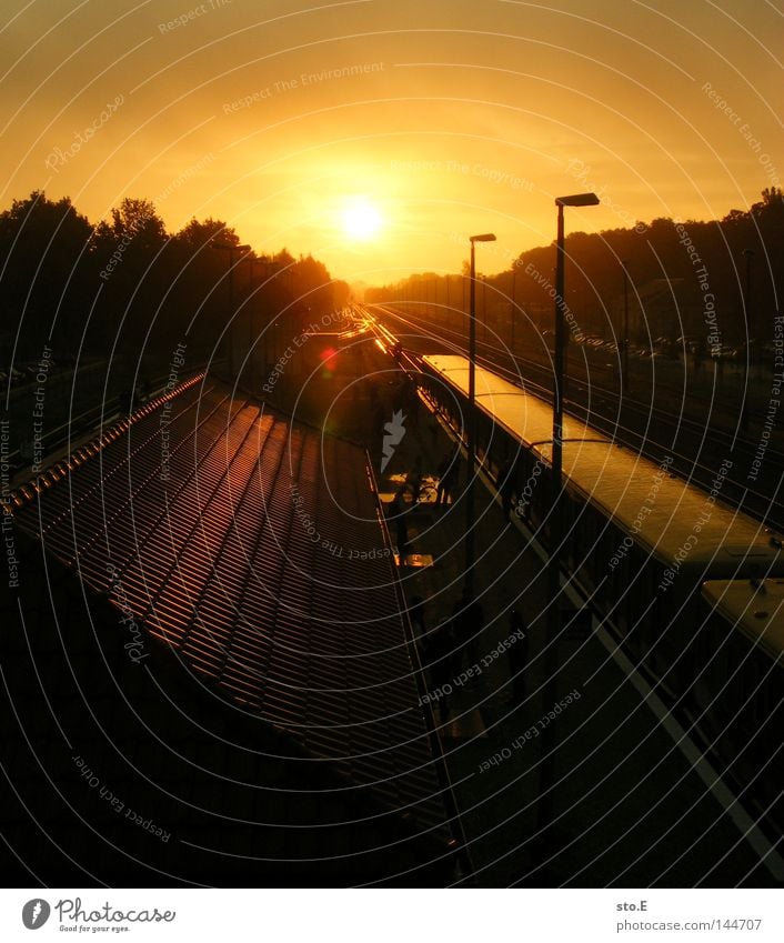 line S5 Sunrise Morning Moody Back-light Glare effect Dazzle Illuminate Reflection Pattern Arrangement Dark Train station Traffic infrastructure Transport