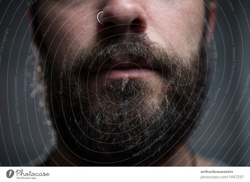 Young man with beard and piercing against gray background Style pretty Personal hygiene Hair and hairstyles Face Shave Hairdresser Human being Masculine