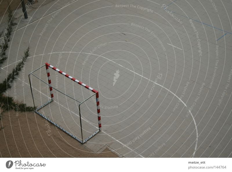 Torsch(l)usspanik Hand ball Handball Goal Ball Gray Reddish white Bird's-eye view Sports Goalkeeper World Cup Sporting event UEFA European Championship